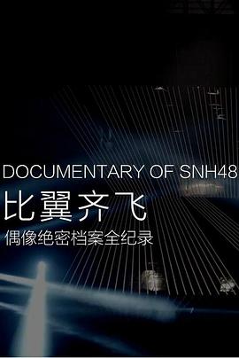 比翼齐飞——偶像绝密档案全纪录封面图