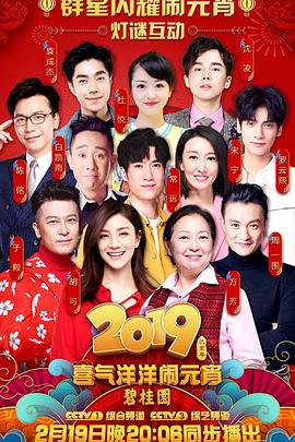 2019年中央广播电视总台元宵晚会封面图