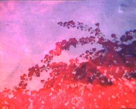 路克索花园封面图