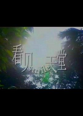 看见天堂封面图