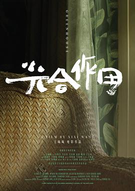 光合作用封面图