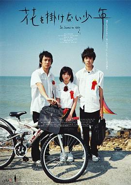 少年不戴花封面图