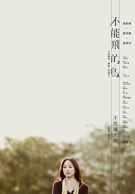 不能飞的鸟封面图