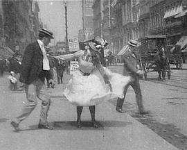 What Happened on Twenty-third Street, New York City封面图