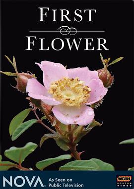 第一朵花封面图