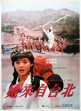 她来自台北封面图