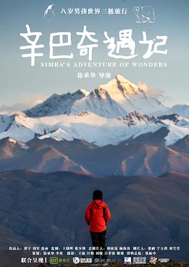 辛巴奇遇记封面图