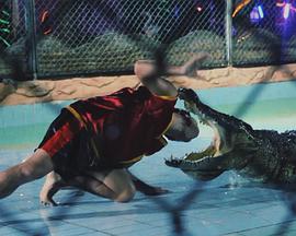 爱情机器封面图