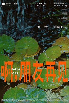 啊，朋友再见封面图