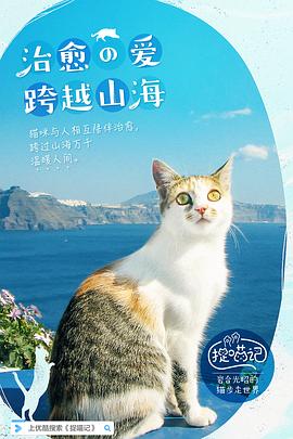 捉喵记封面图