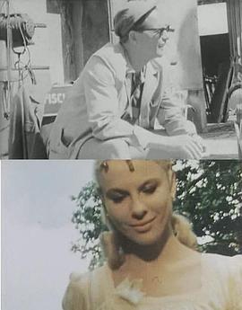 野草莓之影封面图