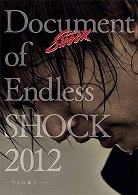 Document of Endless Shock 2012-明日の舞台へ封面图