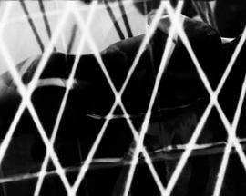 一旦成了鸡封面图