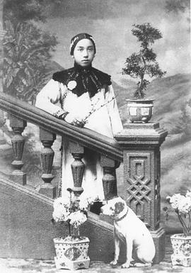 庄子试妻封面图