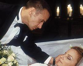 火线干探之永远的爱封面图