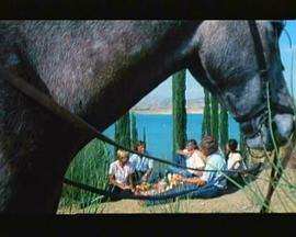 堕落之夏封面图