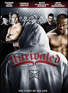 无可匹敌封面图