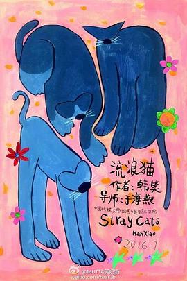 流浪猫封面图