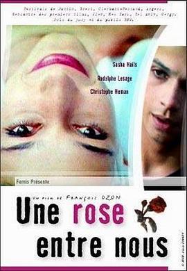 我们间的玫瑰封面图