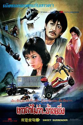 我要金龟婿封面图