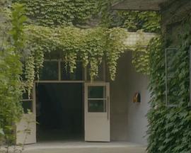 我的中学时代封面图