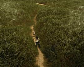 孤者定律封面图