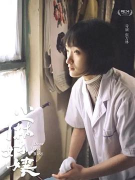 小麻姑娘封面图