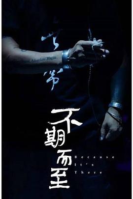 不期而至封面图