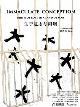 生于意志与硝烟封面图