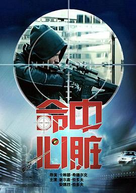 命中心脏封面图