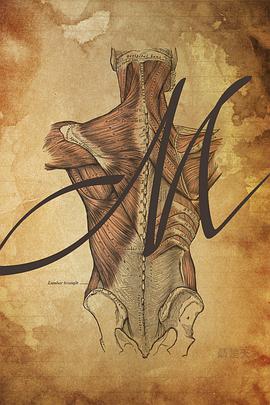 不是莫扎特封面图