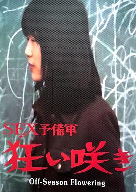 淡季花开封面图