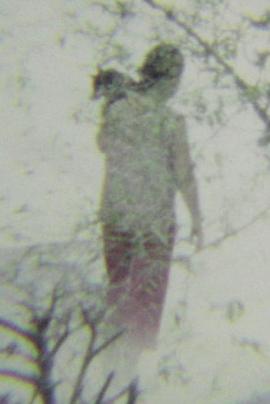 天堂的故事封面图