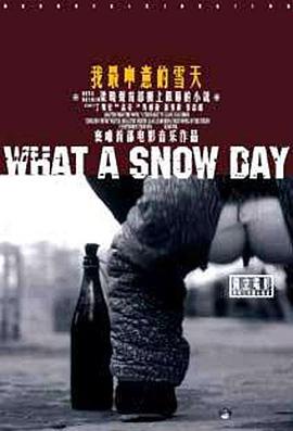 我最中意的雪天封面图