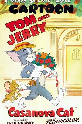 卡萨诺瓦猫封面图