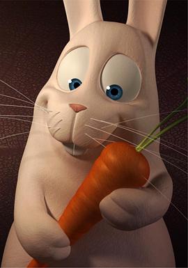 疯狂的萝卜封面图