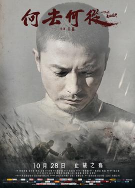 何去何从封面图