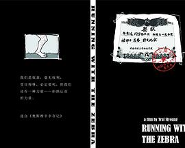 和斑马一起奔跑封面图