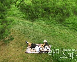 秘密的花园封面图