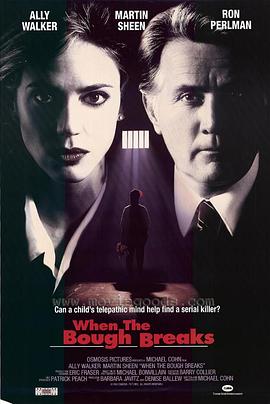 当树枝折断时封面图