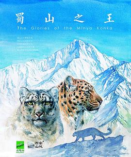 蜀山之王封面图