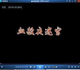 血杀夜迷宫封面图