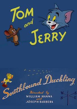 南飞的鸭子封面图