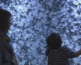 纪实72小时：水母水族馆封面图