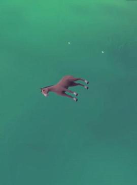 害群之马封面图