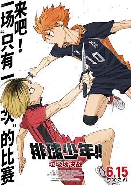 排球少年！！垃圾场决战封面图