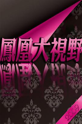 凤凰大视野：百团大战封面图