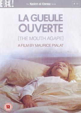 熟悉的影子封面图