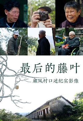 最后的藤叶封面图