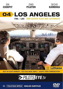 飞行员之眼：洛杉矶封面图